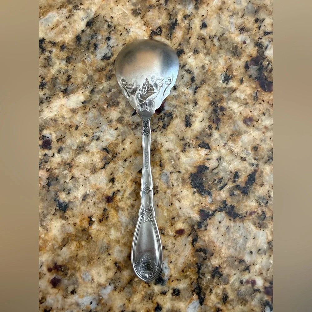 Elegant Silver Serving Spoon with Intricate Design